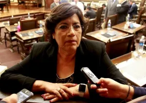 Innecesario, crear figuras jurídicas para uniones gay: S. Tanús
