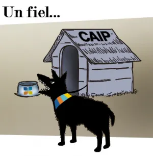 Opacidad en la CAIP