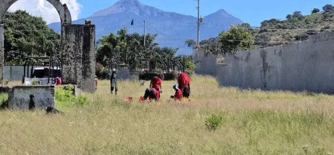 Cadáver en Amozoc