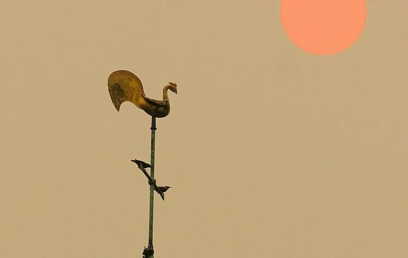 Imagen del artículo