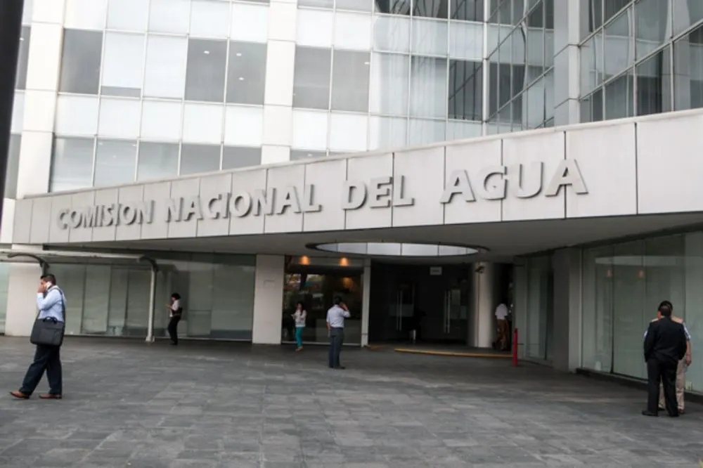 Foto: El Economista