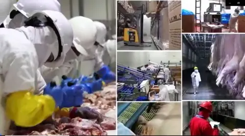Pese al COVID, Granjas Carroll mantuvo operaciones y plantilla