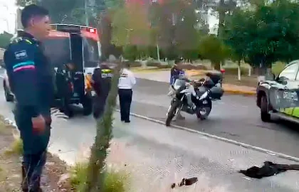 Atropellada Patrulla Bulevar Atlixco