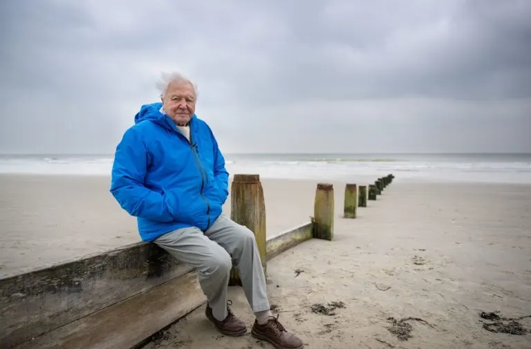 David Attenborough presenta documental sobre la salud de los océanos