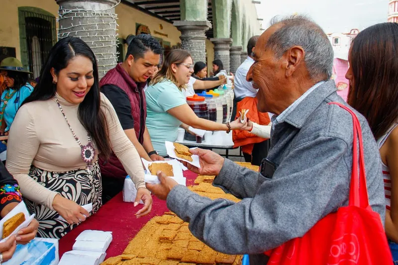 sp-cholula-alfombra-monumental-viacrucis