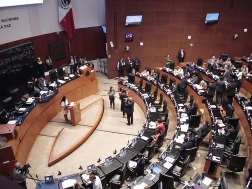 Alista Senado marco legal para uso lúdico de la marihuana