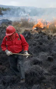 Sujetos armados impiden la llegada de brigadistas al bosque de Guadalajara