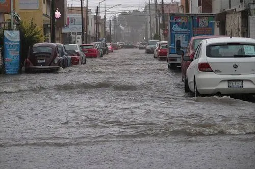Intensa lluvia deja caída de árbol, anuncios e inundaciones en la capital poblana
