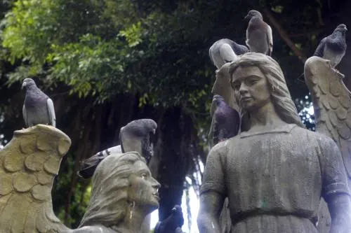 Colocarán gel para palomas, se busca evitar que las aves dañen edificios históricos