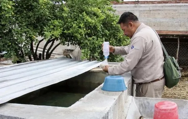 Puebla no presentó nuevos casos por dengue en las últimas 24 horas: Salud