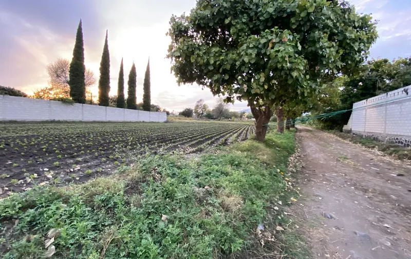 atlixco-caminos-sacacosechas