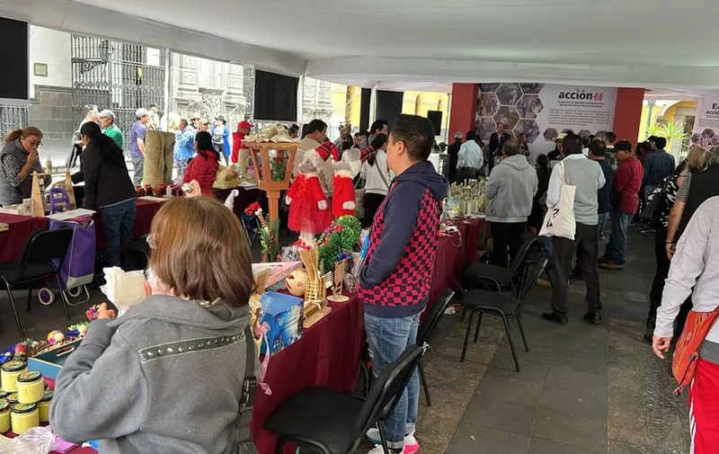 secetaria-de-economia-accion-es