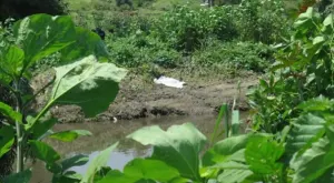 Tras varios días, al fin encuentran cuerpo de menor ahogado en el Atoyac