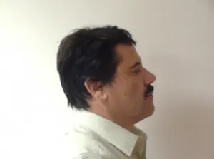 Empresas mexicanas, vinculadas a red de El Chapo