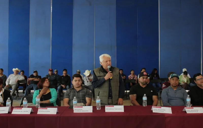Imagen del artículo
