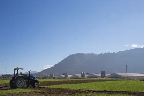 Carroll ayuda a campesinos a recuperar  la productividad de sus tierras