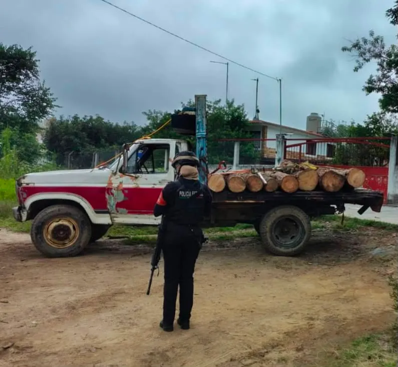ssp-pue-detenidos-tala-ilegal-tlatlauquitepec