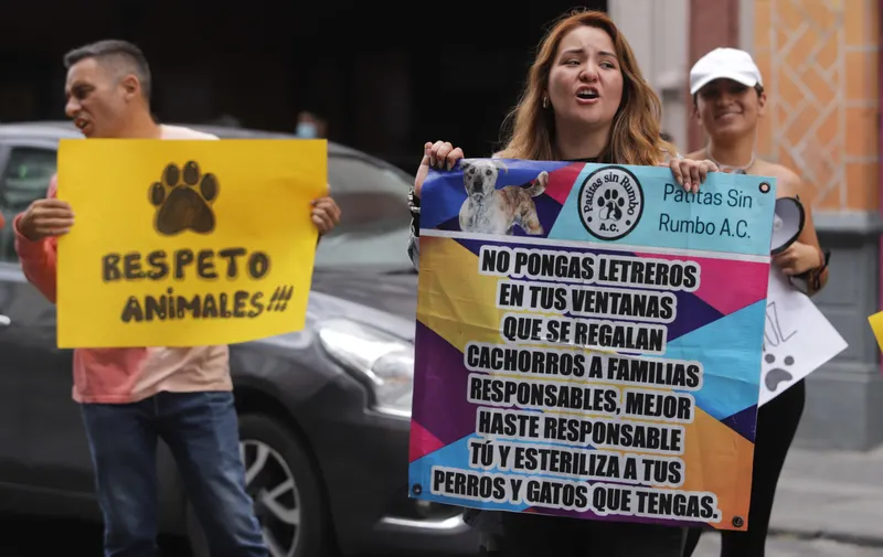 Animalistas