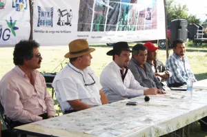 Productores enfrentarán variación de precios en los granos con la compra de coberturas