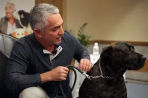Omar Chaparro sorprende a “El Encantador de Perros” con invitación