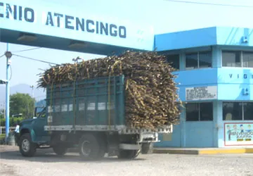 Detectan desfalco a cañeros de Atencingo