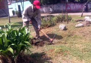 Ayuntamiento inicia dignificación de espacios en la Naciones Unidas