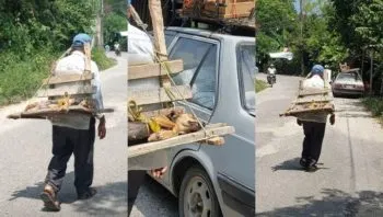 Hombre carga en su espalda a su perrita esterilizada y conmueve en redes sociales