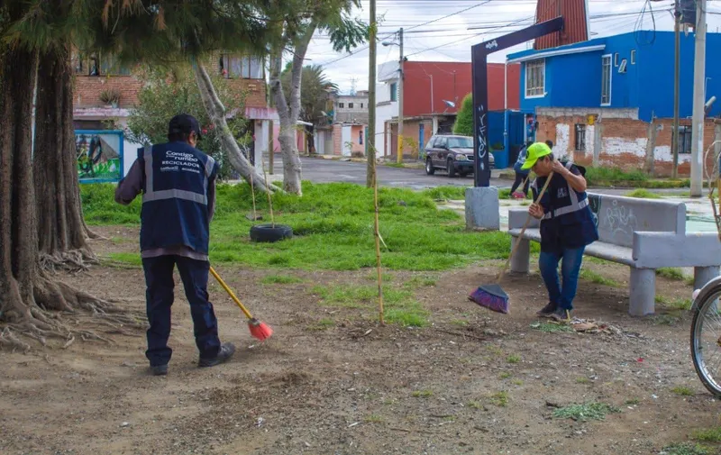 Imagen del artículo