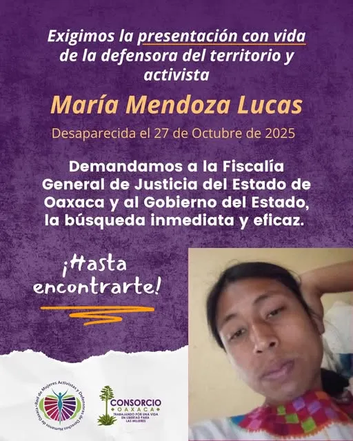 maria-mendoza-lucas-afiche-de-busqueda