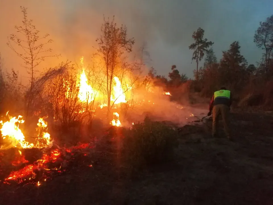 Incendios forestales