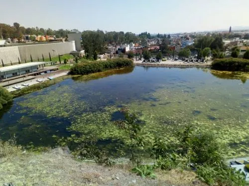 Foco de infección temen vecinos en el Lago de la Concordia por falta de mantenimiento