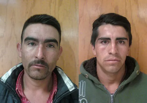 Los detuvieron con madera en rollo de dudosa procedencia