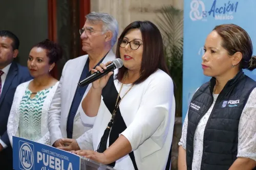 Ocultan datos de consulta a militancia del PAN justifican que se trata de “insumos” internos