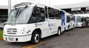 Unas 49 unidades de la RUTA son reincorporadas al servicio