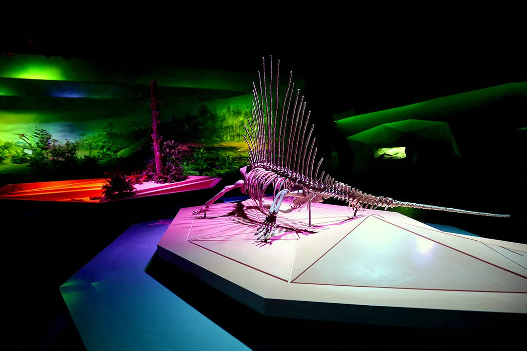 Museo De La Evolucion Puebla