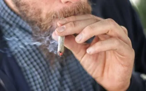 Esto es lo que la Cofepris permite y prohíbe para cultivar, procesar y consumir marihuana