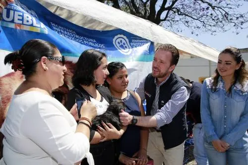 Alcalde Luis Banck verifica obras y acude a la jornada de adopción en Analco