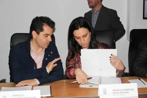 PAN frena aprobación de convocatoria para elección