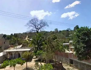 Hallan muerto a dirigente regional de Morena en Oaxaca