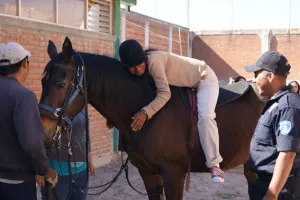 Arranca programa de Equinoterapia al interior del Cereso de San Miguel