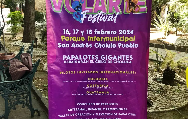Imagen del artículo