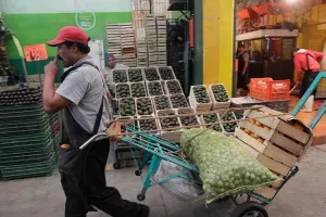 Hasta en 77 por ciento repuntan costos de hortalizas en la Central de Abasto