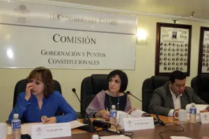 Palomean diputados en unas horas 5 iniciativas de RMV