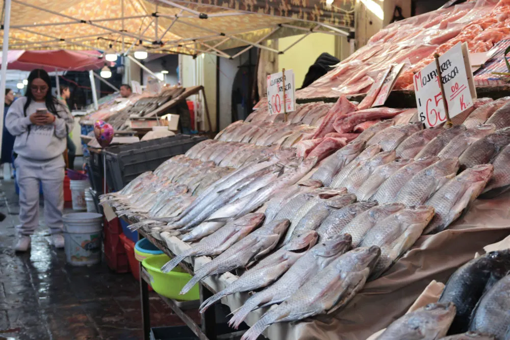 Profeco recomienda consumo de pescado nacional