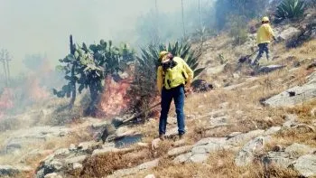 Acuerdan autoridades estatales y federales proyectos medioambientales