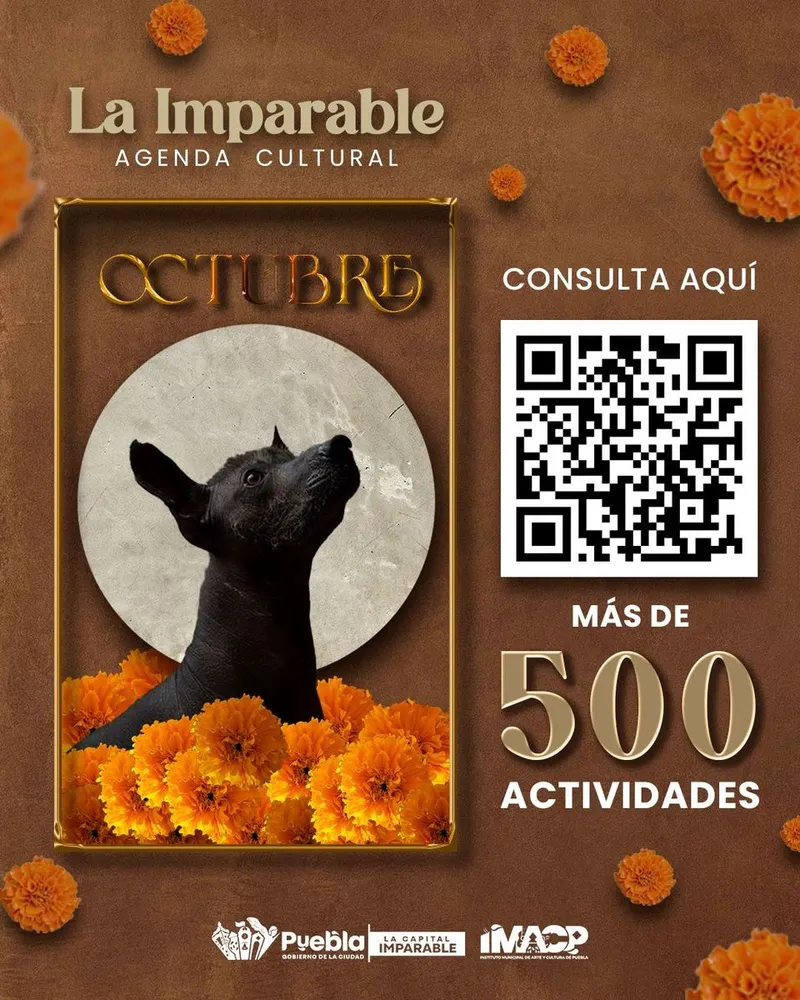 Imagen del artículo