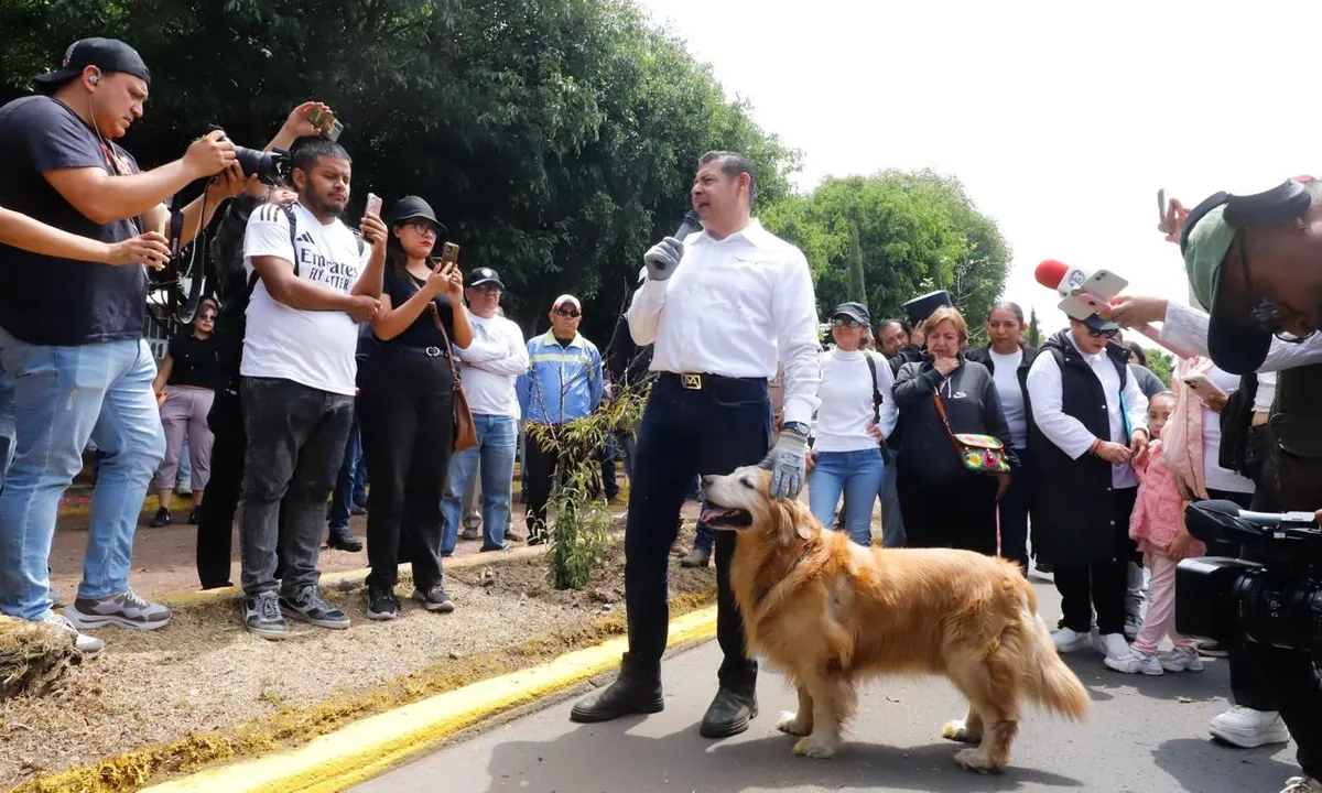 Gobiernos federal y estatal impulsarán campaña de protección de animales