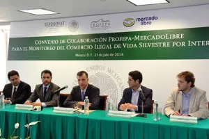 Profepa asegura 424 animales en riesgo comercializados por internet