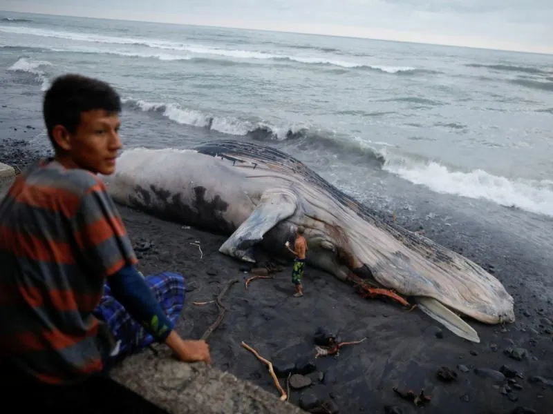 Fotos: Reuters