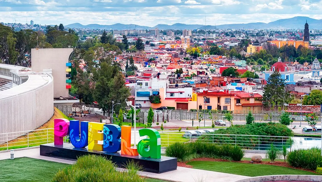 Del Bosque de Niebla a la Ciudad Feliz